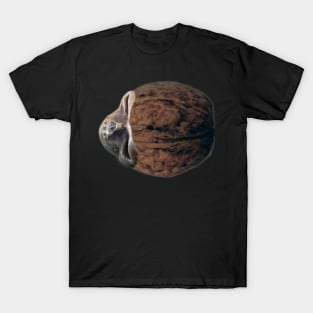 Walnut Skull T-Shirt